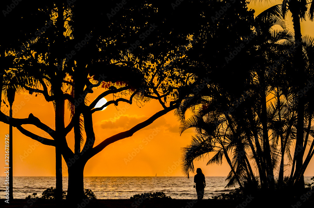 Palm and tropical trees silhouette on sunset tropical beach. Vacational background.