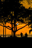 Palm and tropical trees silhouette on sunset tropical beach.