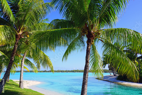 View of a tropical landscape with palm trees  white sand and the turquoise lagoon water in Bora Bora  French Polynesia  South Pacific