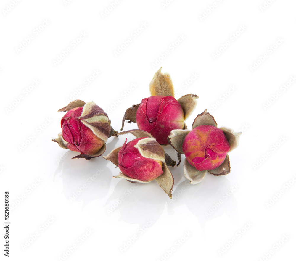 tea rose flowers on white background