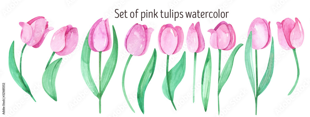 Pink tulips watercolor spring clipart. Pink flowers, spring flowers, bouquet, Isolated, scrapbooking, invitations, women's day, March 8 Pink tulips watercolor spring clipart. Pink flowers, spring flowers, bouquet, Isolated, scrapbooking, invitations, women's day, March 8