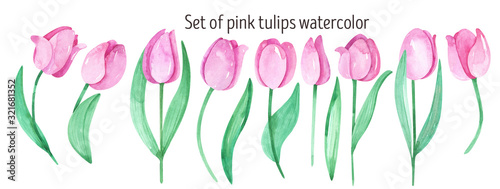 Pink tulips watercolor spring clipart. Pink flowers, spring flowers, bouquet, Isolated, scrapbooking, invitations, women's day, March 8