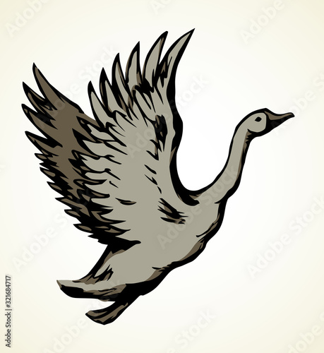 Goose in flight. Vector drawing
