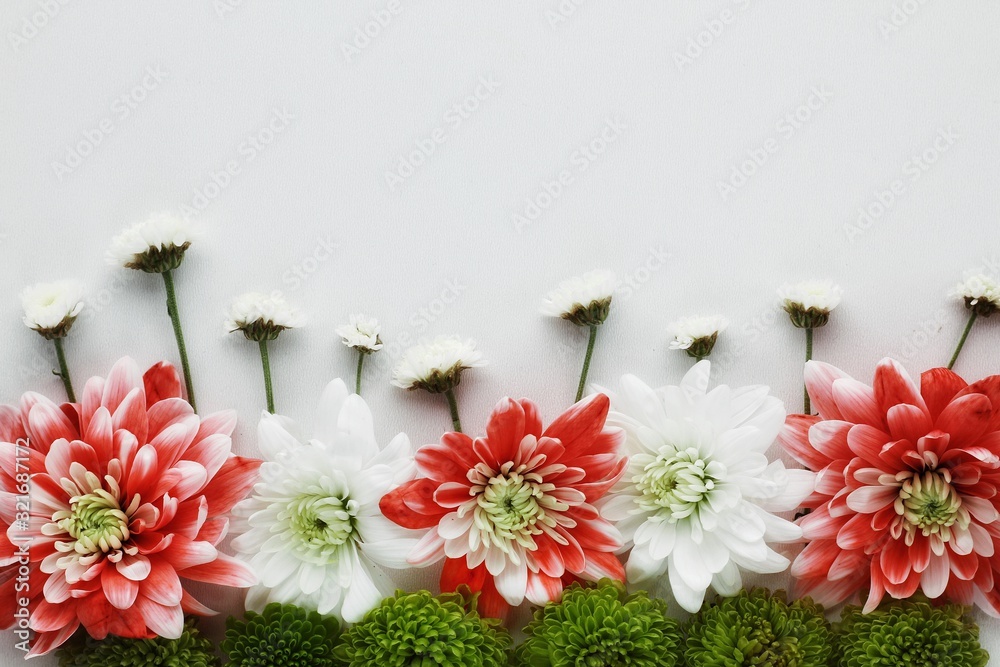 Beautiful spring flowers bouquet for greetings isolated on white, copyspace
