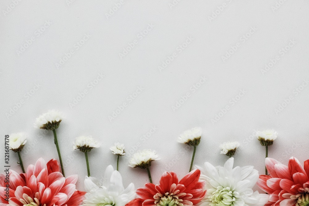 Beautiful spring flowers bouquet for greetings isolated on white, copyspace