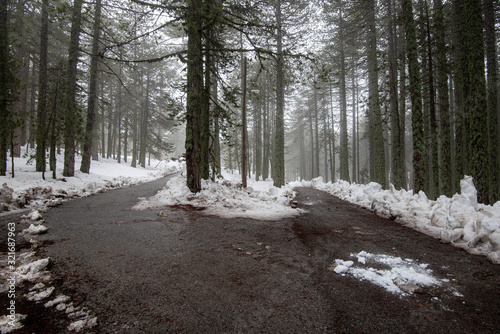 Wallpaper Mural Winter forest landscape with mountain covered in snow and empty frozen. Troodos mountains in Cyprus Torontodigital.ca