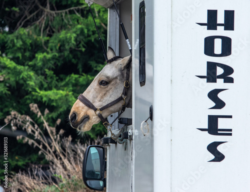 Horsebox