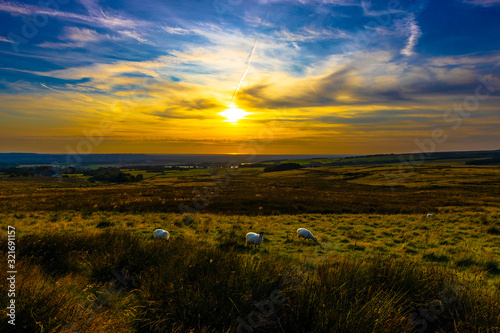 sunset in the countryside