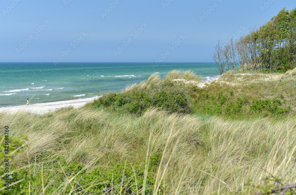 Dünen an der Ostsee