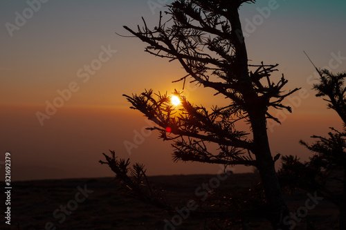 Sunset silhouette  2