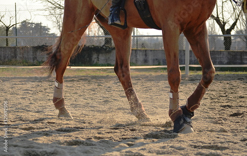 horse legs with horseboot on the sand