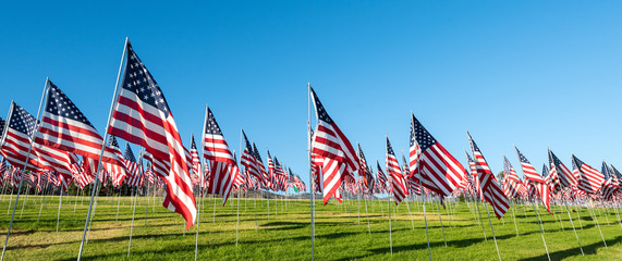 A large group of American flags. Veterans or Memorial day display