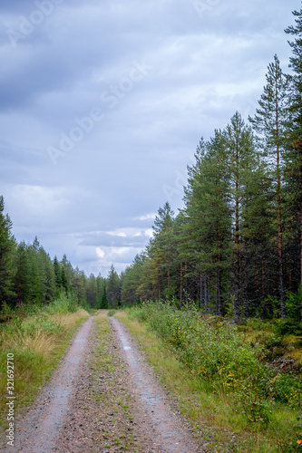 Finland. View of a scenic road passing through a forest. Beautiful Scandinavian landscape.