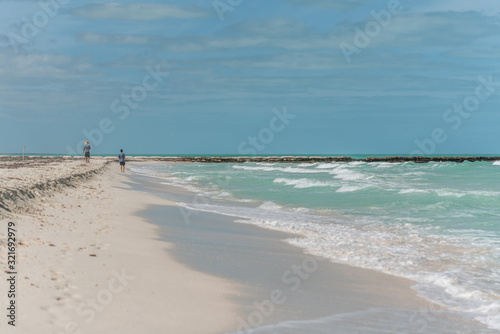 Fototapeta Naklejka Na Ścianę i Meble -  walking on the beach in sunny day