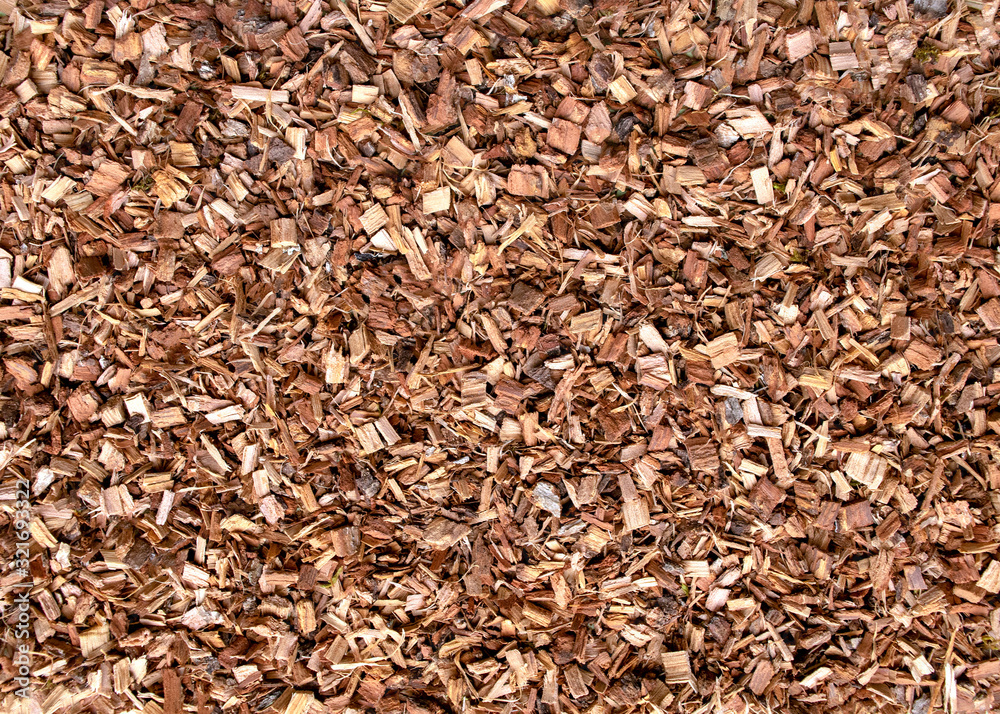 Background made of dried brown oak bark for medical use. Oak bark backdrop. Quercus cortex - herb. Background made of dried brown oak bark for medical use. Oak bark backdrop. Quercus cortex - herb.