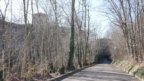 Montechiarugolo, Italy, the boulevard with the castle in background photo