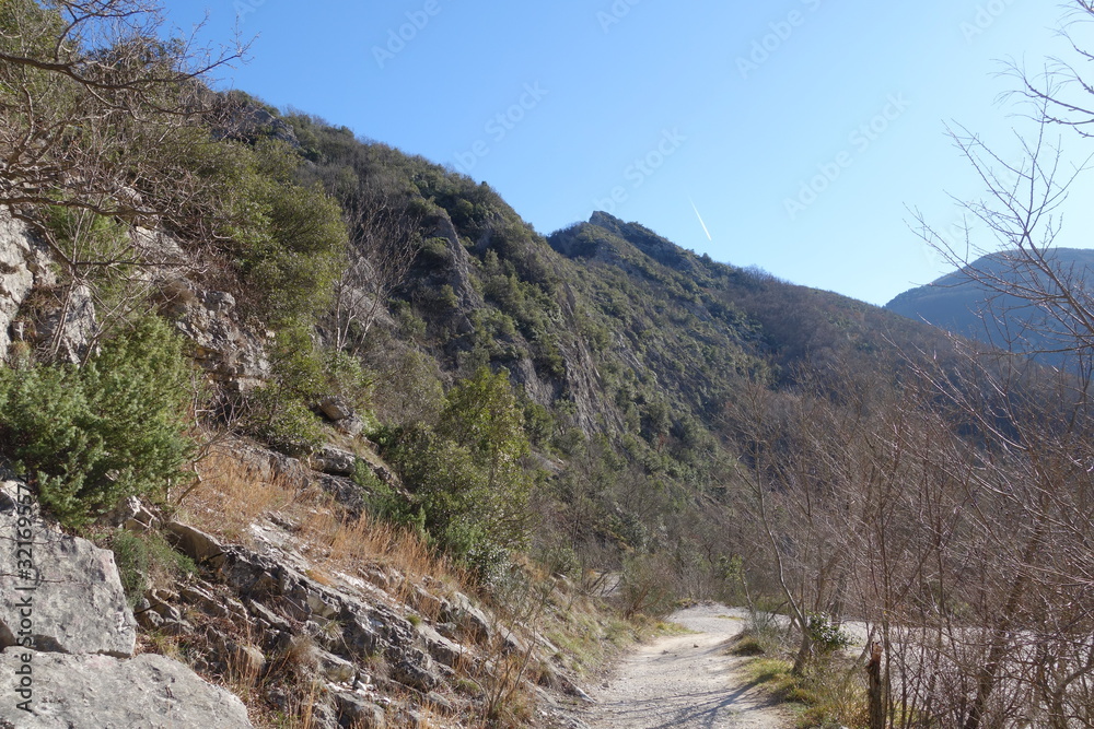 Monte Nerone Monte Nerone