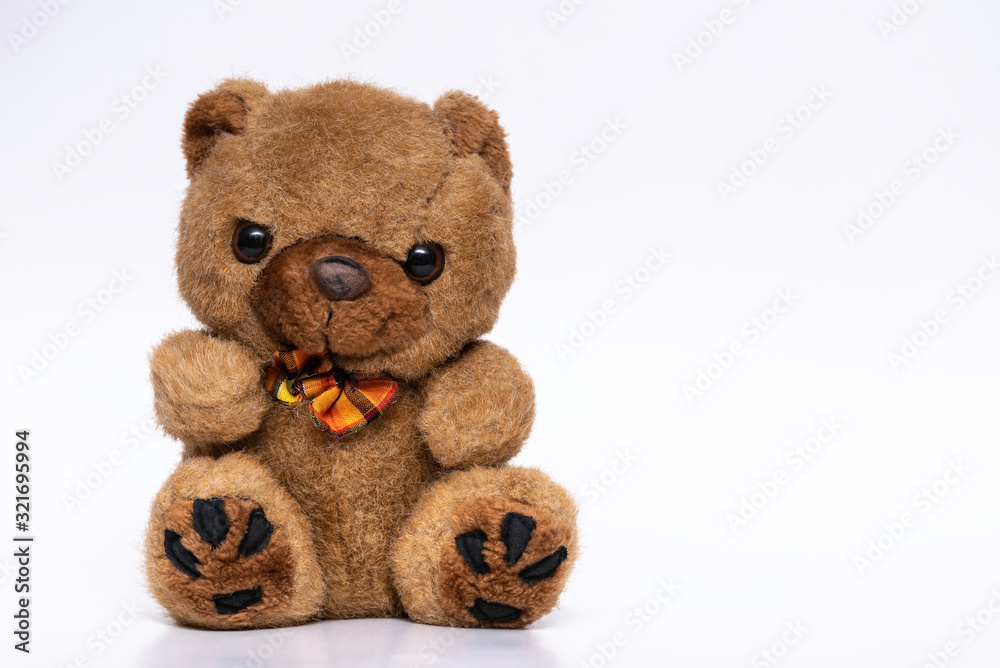 Obraz premium brown teddy bear on white background