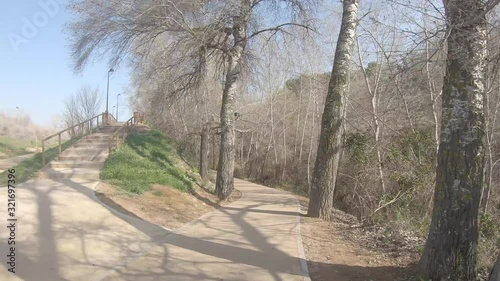 Carril atravesando bosque de día
