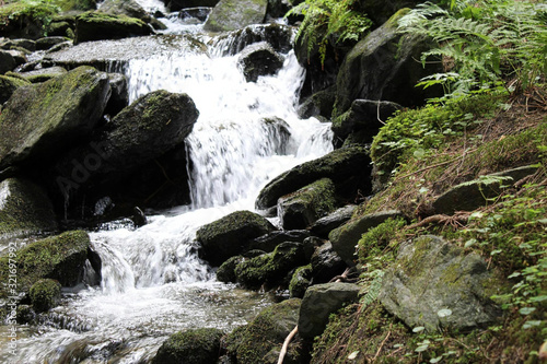a small waterfall in the forest