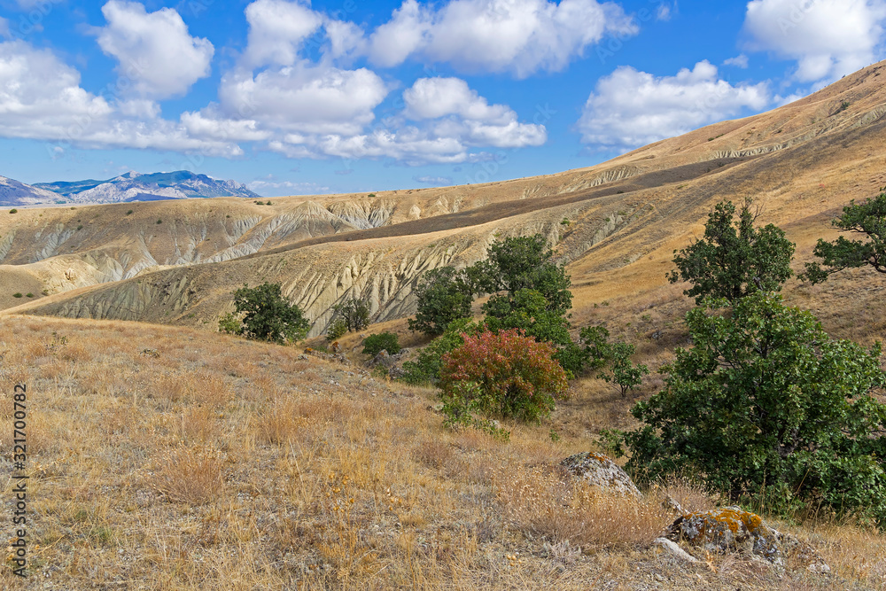 Soil Ravelling Clay ravines with traces of soil erosion and weathering. Stock Photo ...