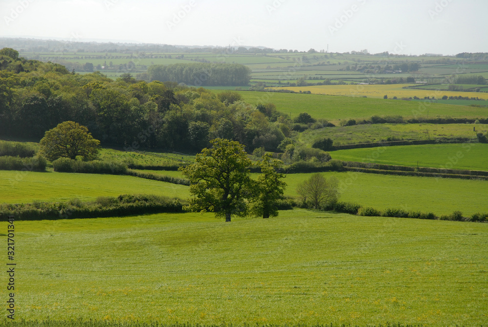 Green fields and rolling hills, typical English landscape in the Spring time, near Sherborne, Dorset, UK