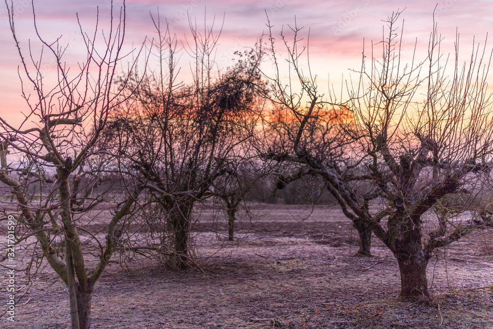 Sonnenaufgang in den Feldern Rheinhessens Sonnenaufgang in den Feldern Rheinhessens