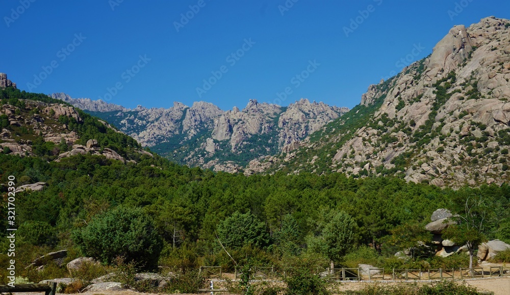 Naklejka premium Bosque de la Pedriza en Madrid