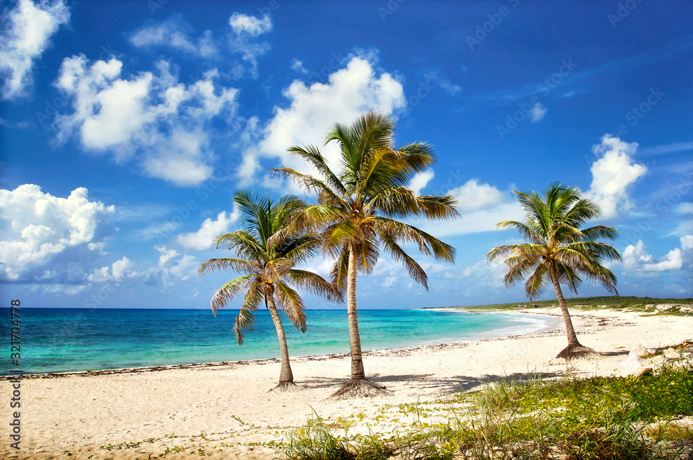 Beautiful sandy beach with palm tries and turquoise water in the Caribbean