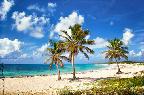 Beautiful sandy beach with palm tries and turquoise water in the Caribbean © Edgar Photosapiens