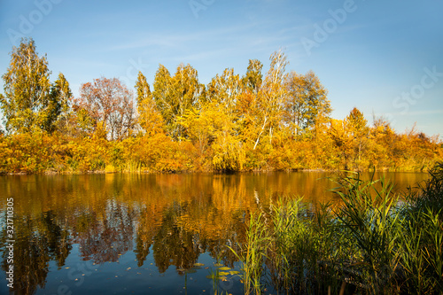 Beautiful autumn trees reflecting on the smooth water surface. Warm autumn day on the lake. River bank landscape.