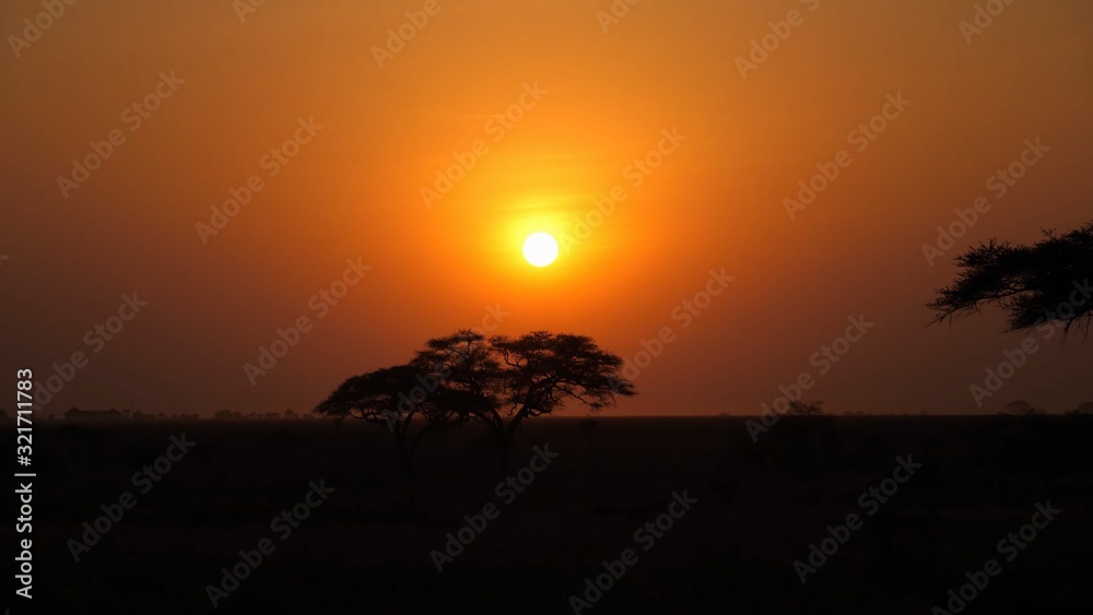 African sunset with yellow sun and bright orange sky over lonely trees of the savannah of Tanzania