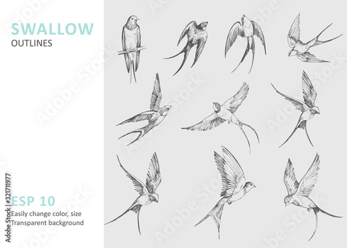 Set of a flying swallows. Hand drawn illustration converted to vector. Outline with transparent background © aksol