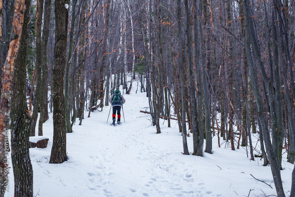 Man in snowshoes with trekking poles is the snow in the forest
