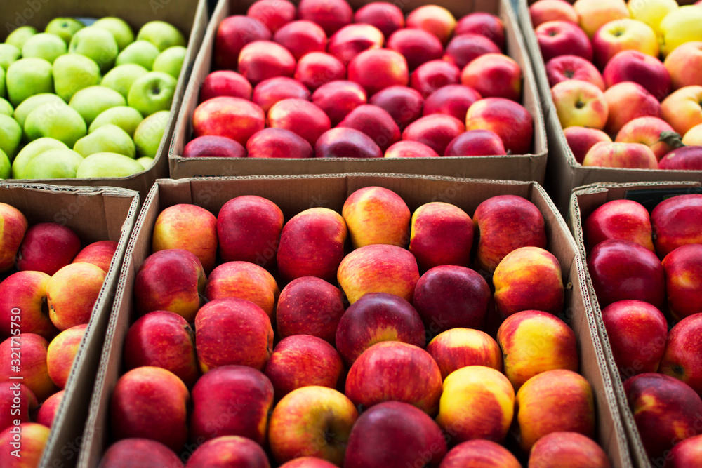 Red yellow green fresh juicy apples different of sorts in cardboard box. Agricultural fruits grown in the garden. Delicious healthy food, diet. Natural vitamins. Autumn harvest. Organic product. Red yellow green fresh juicy apples different of sorts in cardboard box. Agricultural fruits grown in the garden. Delicious healthy food, diet. Natural vitamins. Autumn harvest. Organic product.