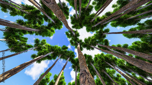 Forest and Tree Background 3D Rendering