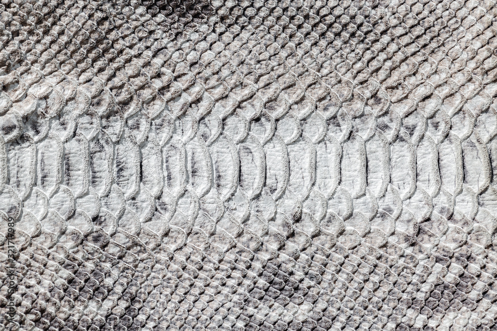 Snake skin pattern texture. Reptile leather. Python leather background. Snake skin pattern texture. Reptile leather. Python leather background.