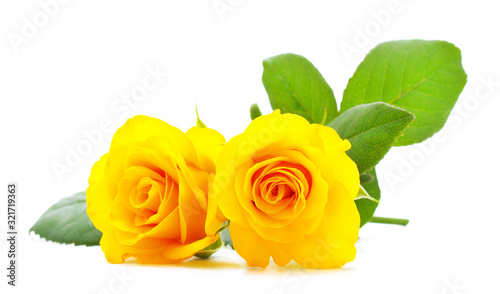 Beautiful yellow flowers.