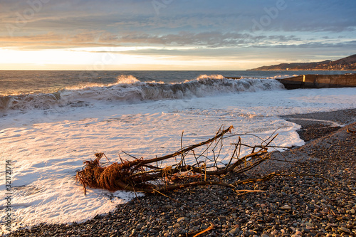 A snag that washed up on the beach. A large tree trunk, the high waves . Storms. Golden sunset. Black Sea.