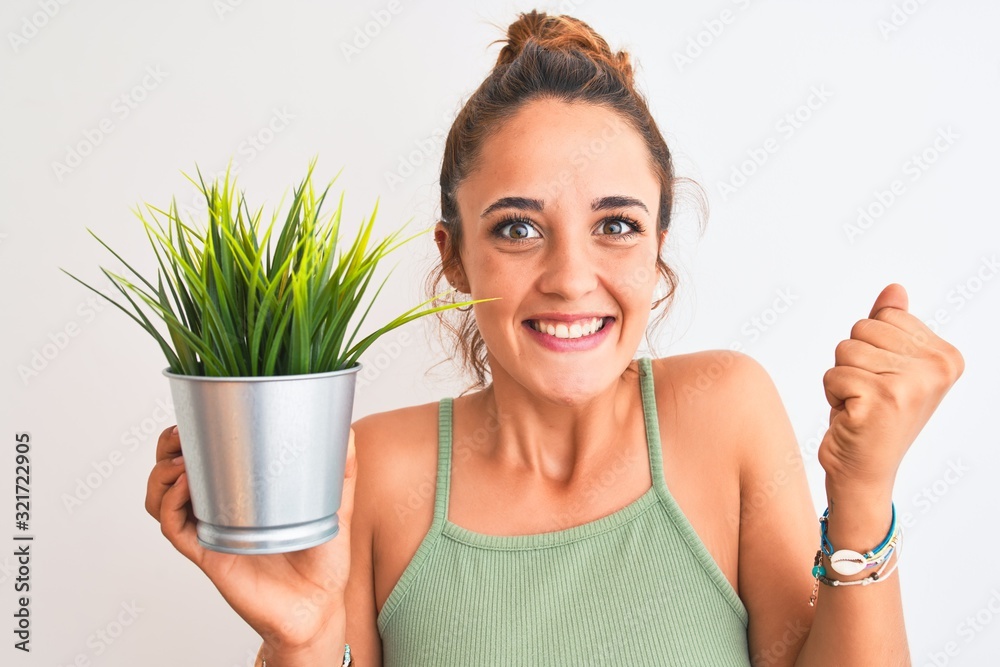 Young redhead woman holding plant pot over isolated background screaming proud and celebrating victory and success very excited, cheering emotion Young redhead woman holding plant pot over isolated background screaming proud and celebrating victory and success very excited, cheering emotion