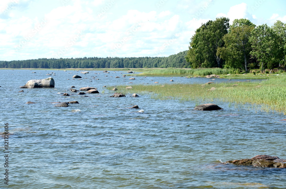 Fototapeta premium Coastline with erratic boulders at Lahemaa National Park in Estonia
