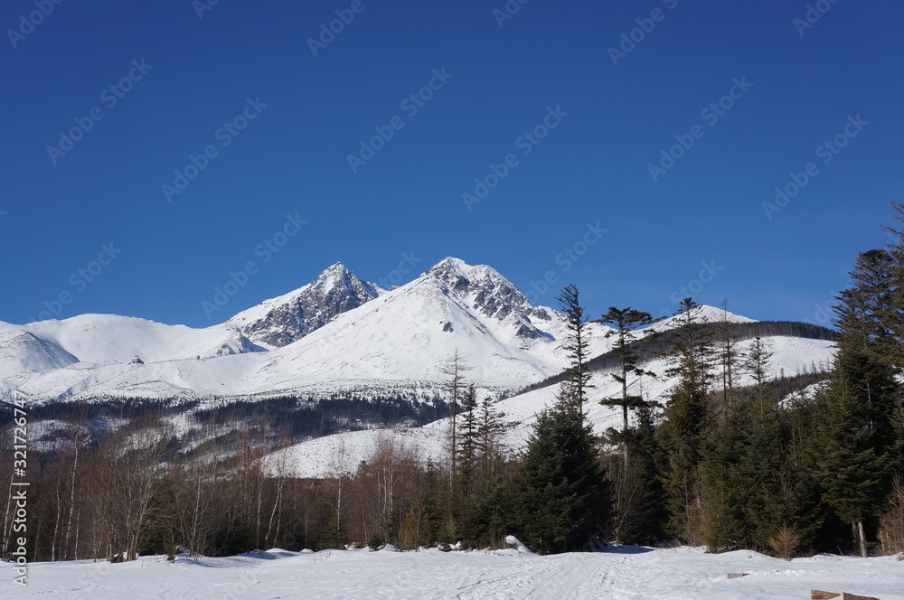 Snowy Mountains on a sunny day