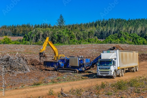 Forest Biomass Production photo