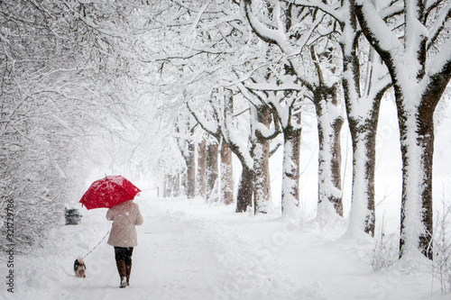 A woman with a red umbrella walks with her dog in the middle of a snow path with trees around