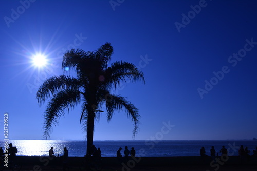 Fototapeta Naklejka Na Ścianę i Meble -  silhouette of palm trees at sunset