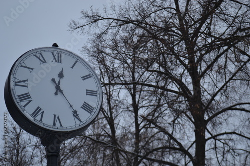 Old clock on a background of trees