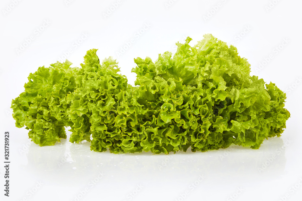 Bunch of fresh green lettuce (Lactuca sativa L.) isolated on white background. Studio shot Bunch of fresh green lettuce (Lactuca sativa L.) isolated on white background. Studio shot