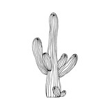 Vector illustration of sketch black and white saguaro cactus on white background
