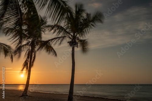 Scene sunrise on the beach with palm trees. active sport in the morning