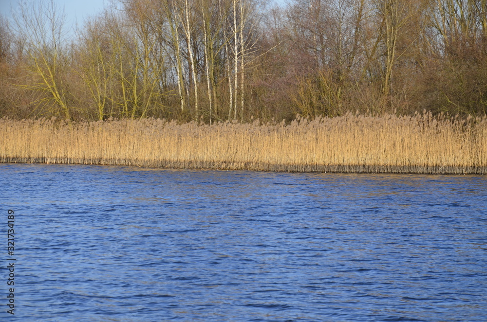 Riverside. Spring. Waves on the water. Dry grass. Riverside. Spring. Waves on the water. Dry grass.
